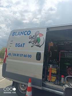 Camion